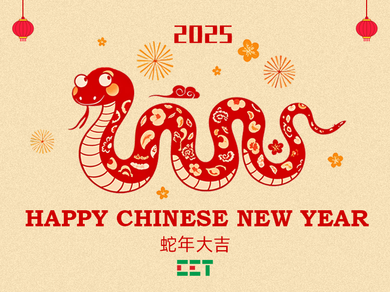 Happy Chinese New Year 2025