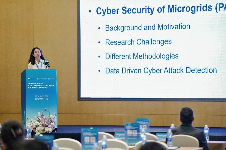 Global Microgrid Experts 3